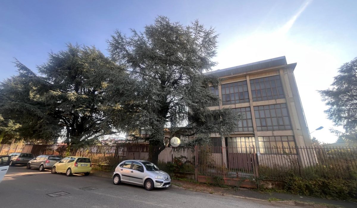 WhatsApp Image 2025-11-14 at 12.28.41 (2)