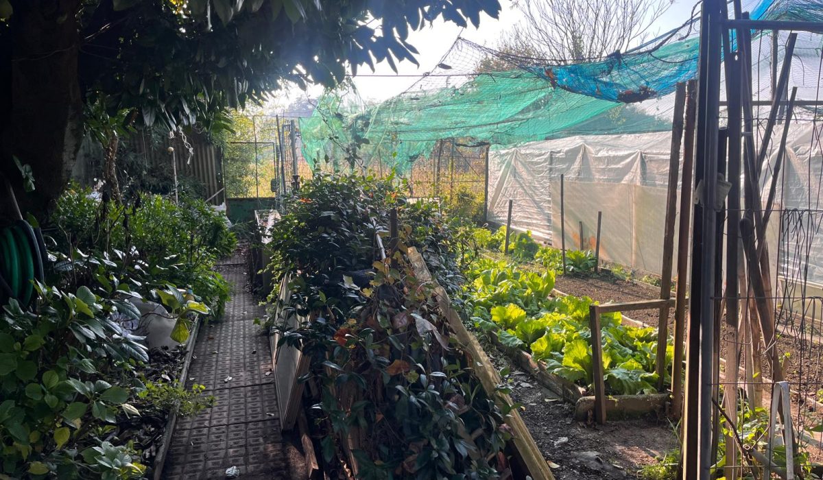 WhatsApp Image 2025-11-17 at 13.47.06 (3)